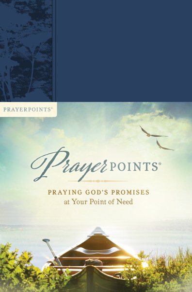 Prayer Points - Praying God's Promises at Your Point of Need