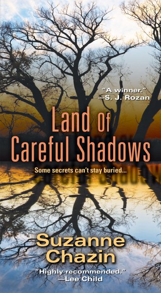 Land of Careful Shadows (A Jimmy Vega Mystery) cover