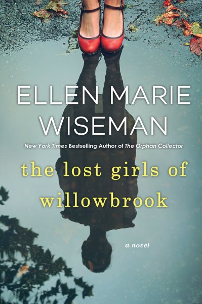 The Lost Girls of Willowbrook: A Heartbreaking Novel of Survival Based on True History cover