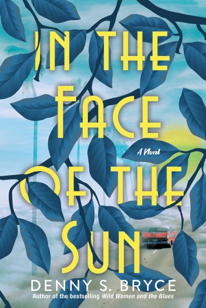 In the Face of the Sun: A Fascinating Novel of Historical Fiction Perfect for Book Clubs cover