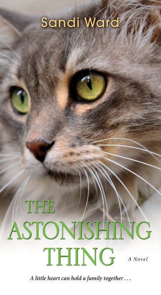 The Astonishing Thing cover