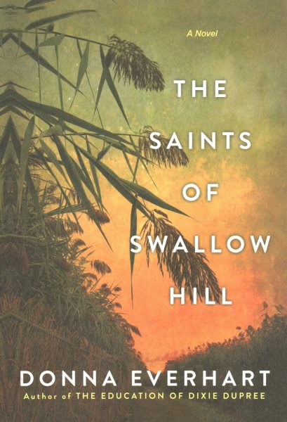 The Saints of Swallow Hill: A Fascinating Depression Era Historical Novel
