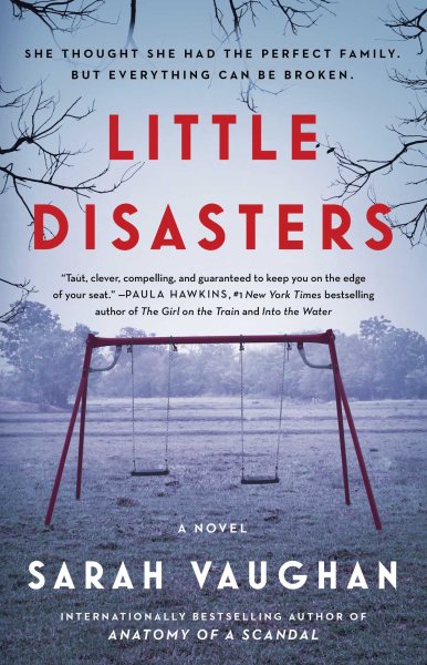 Little Disasters: A Novel cover
