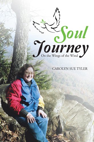 Soul Journey: On the Wings of the Wind cover