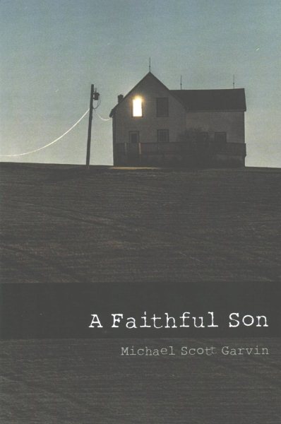 A Faithful Son cover