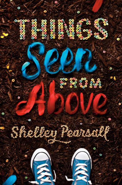 Things Seen from Above cover