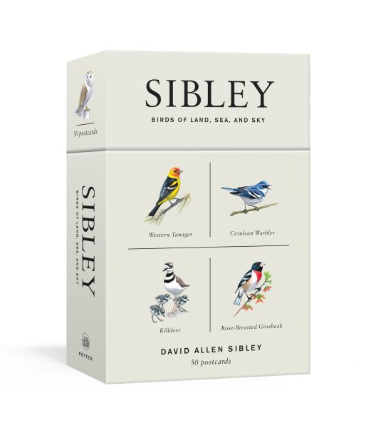 Sibley Birds of Land, Sea, and Sky: 50 Postcards cover