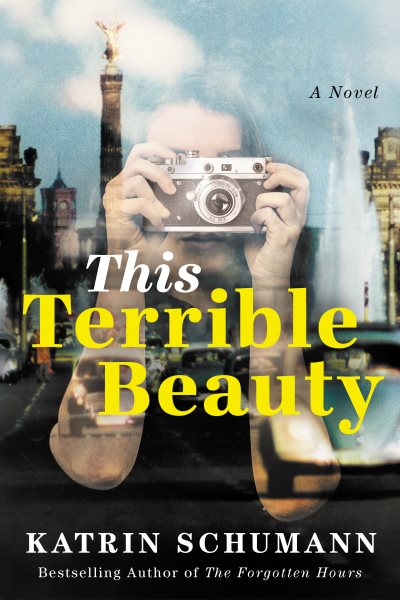 This Terrible Beauty: A Novel cover