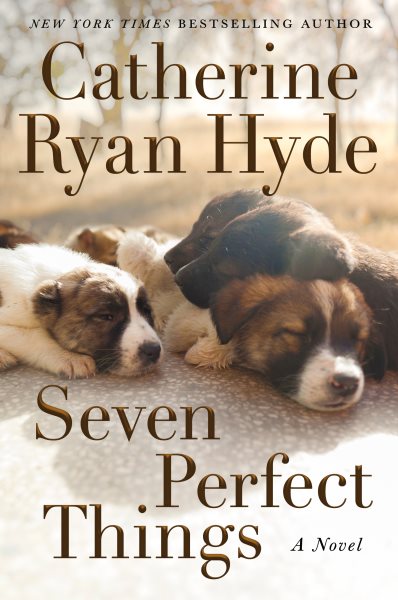 Seven Perfect Things: A Novel cover