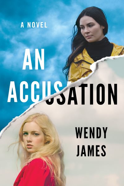 An Accusation: A Novel cover