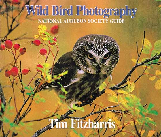 Wild Bird Photography: National Audubon Society Guide cover