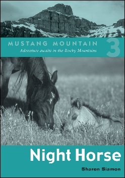 Night Horse (Mustang Mountain)