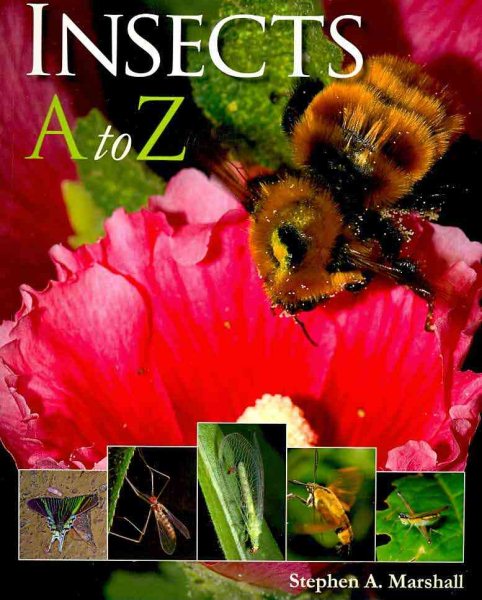 Insects A to Z (A to Z (Firefly Books))