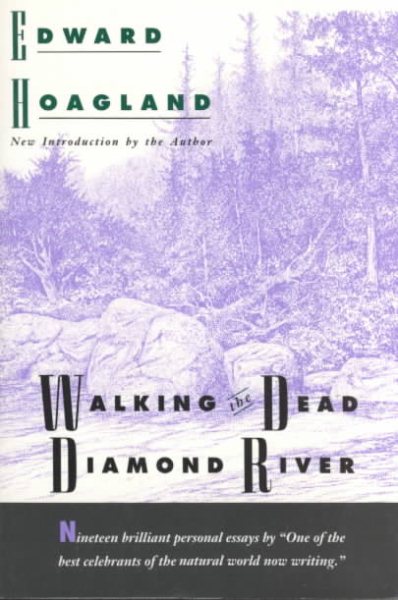Walking the Dead Diamond River cover