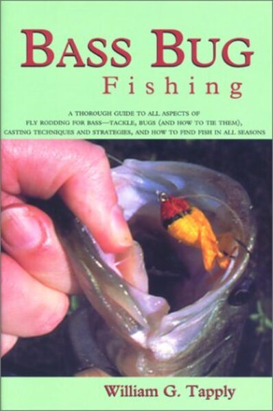 Bass Bug Fishing cover