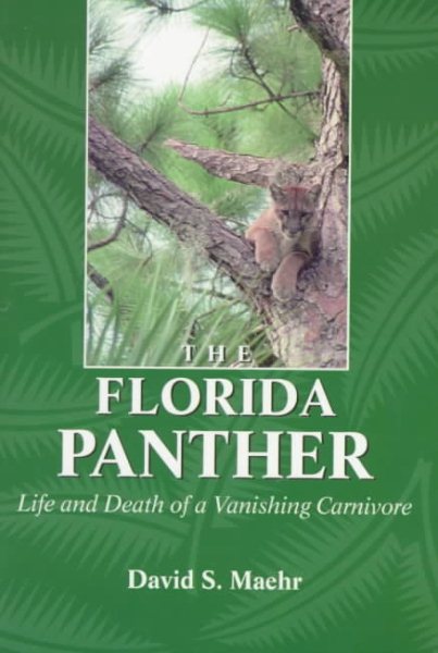 The Florida Panther: Life And Death Of A Vanishing Carnivore cover