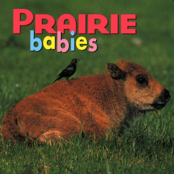Prairie Babies (Animal Babies) cover