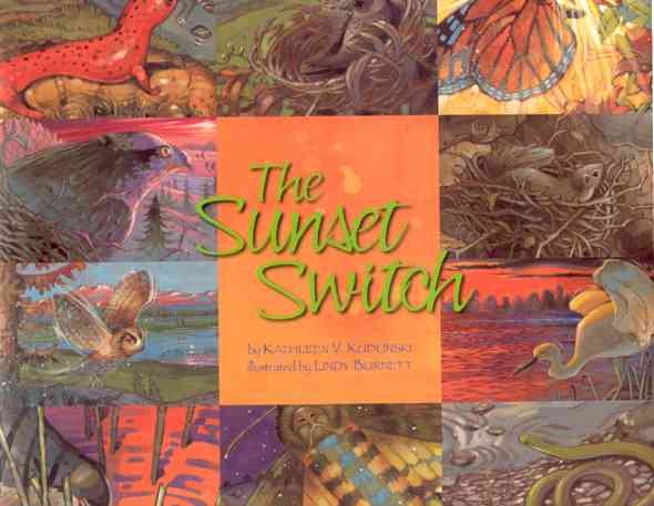 The Sunset Switch cover