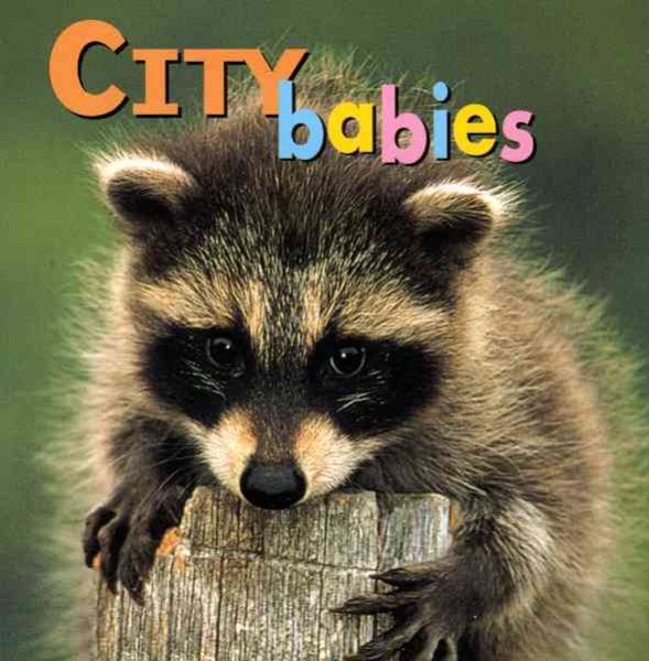 City Babies (Animal Babies) cover