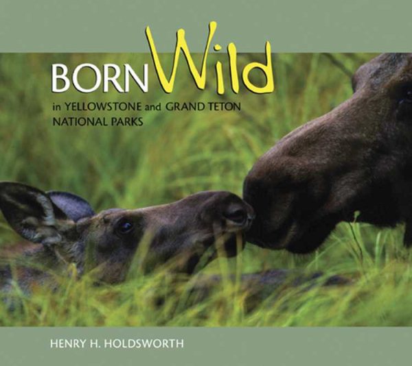 Born Wild in Yellowstone and Grand Teton National Parks cover
