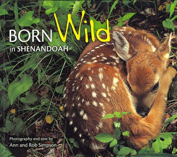 Born Wild in Shenandoah cover