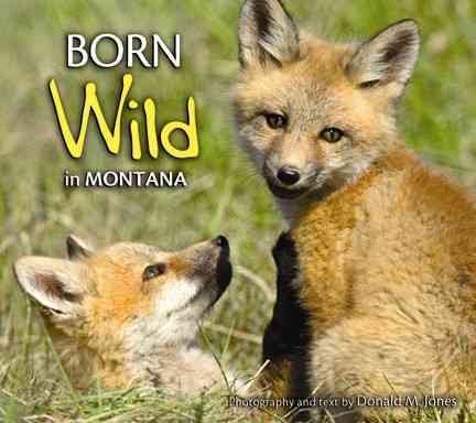 Born Wild in Montana cover