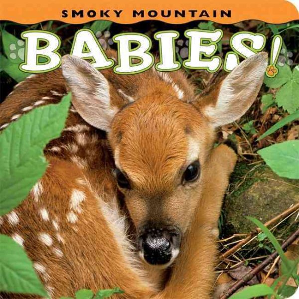 Smoky Mountain Babies! (Babies! (Farcountry Press)) cover