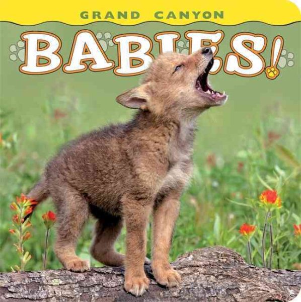 Grand Canyon Babies! (Babies! Animal) cover
