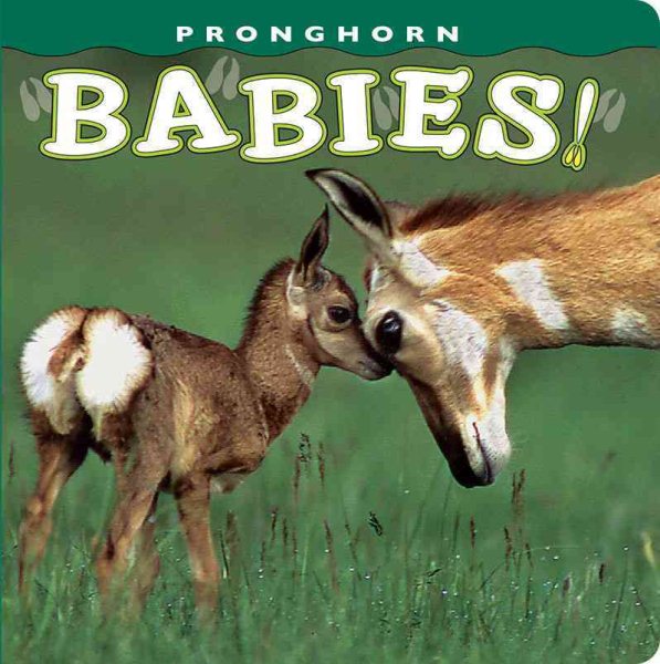 Pronghorn Babies! (Babies! (Farcountry Press)) cover