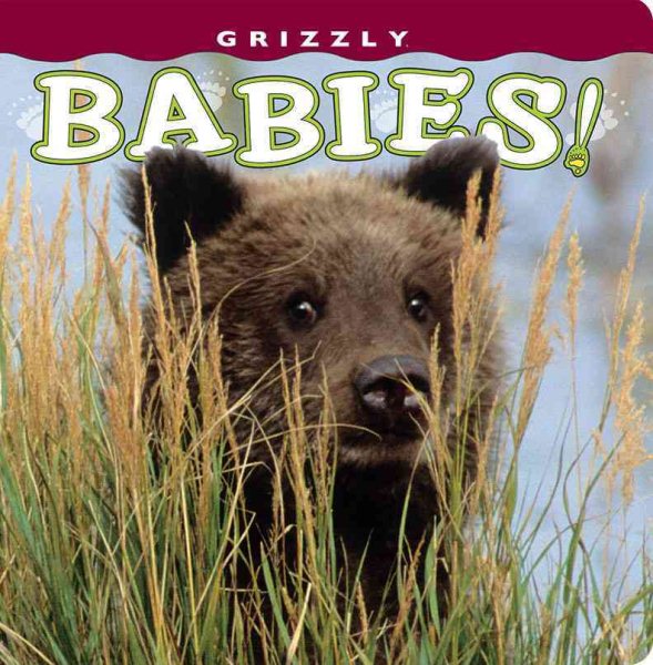 Grizzly Babies! (Babies! (Farcountry Press))
