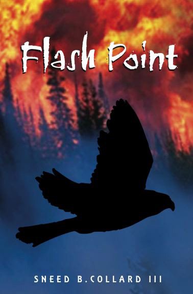 Flash Point cover