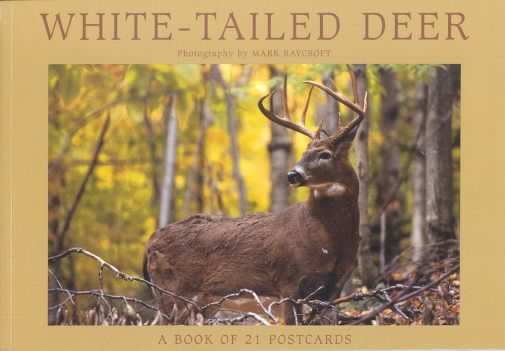 White-Tailed Deer: A Book of 21 Postcards