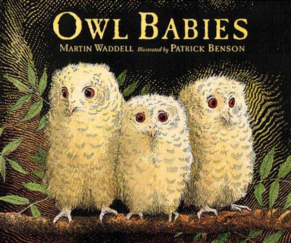 Owl Babies cover