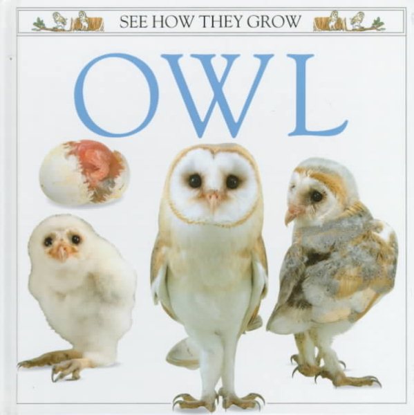 Owl (See How They Grow) cover