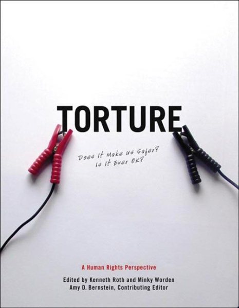 Torture: Does It Make Us Safer? Is It Ever OK?: A Human Rights Perspective cover