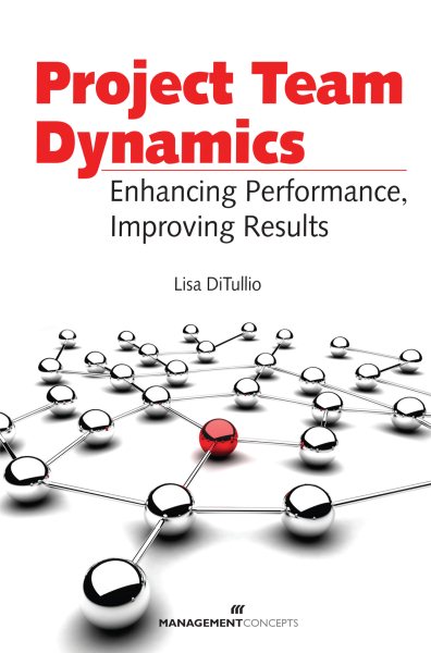 Project Team Dynamics: Enhamcing Performance, Improving Results cover