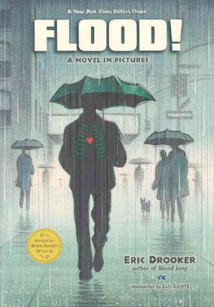 Flood!: A Novel in Pictures