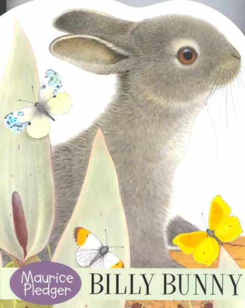 Billy Bunny Board Book cover