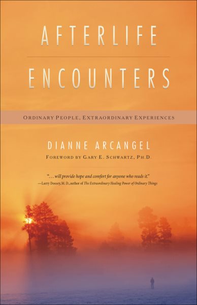 Afterlife Encounters: Ordinary People, Extraordinary Experiences cover