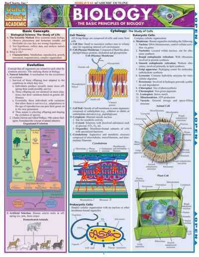 Biology (Quickstudy Reference Guides - Academic) cover