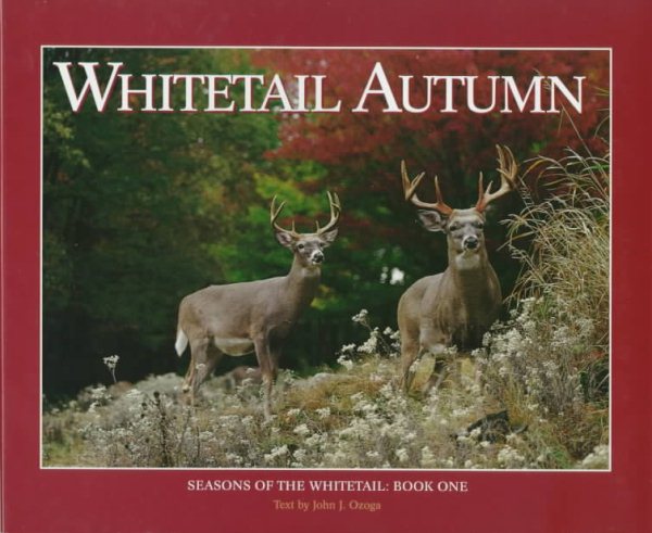 Whitetail Autumn (Seasons of the Whitetail, Book 1) cover