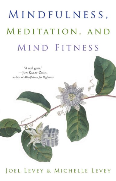 Mindfulness, Meditation, and Mind Fitness: (Spiritual Fitness, Mindset, Focus, Stress-Reduction) cover