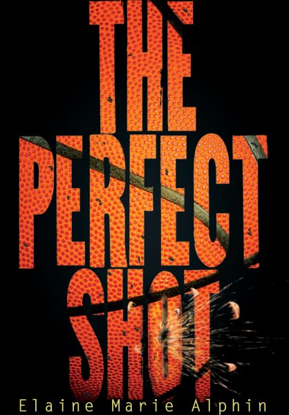 The Perfect Shot (Young Adult Fiction) cover