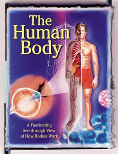 Human Body: A Fascinating See-Through View Of How Bodies Work cover