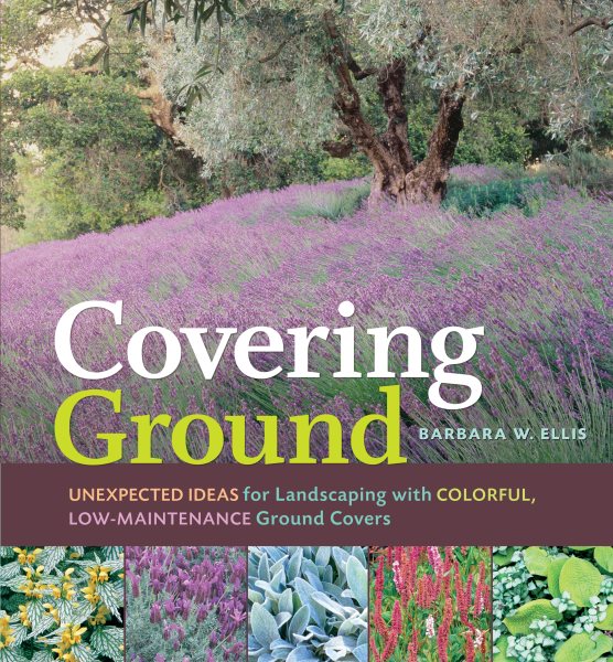 Covering Ground cover