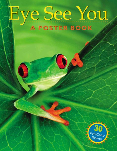 Eye See You: A Poster Book cover