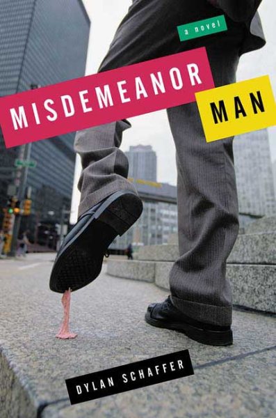 Misdemeanor Man: A Novel cover