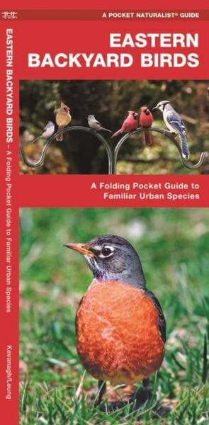 Eastern Backyard Birds: A Folding Pocket Guide to Familiar Urban Species (Wildlife and Nature Identification) cover