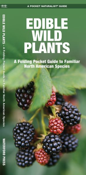 Edible Wild Plants: A Folding Pocket Guide to Familiar North American Species (Outdoor Skills and Preparedness) cover