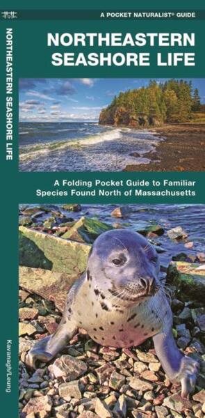 Northeastern Seashore Life: A Folding Pocket Guide to Familiar Coastal Species North of Massachusetts (A Pocket Naturalist Guide) cover